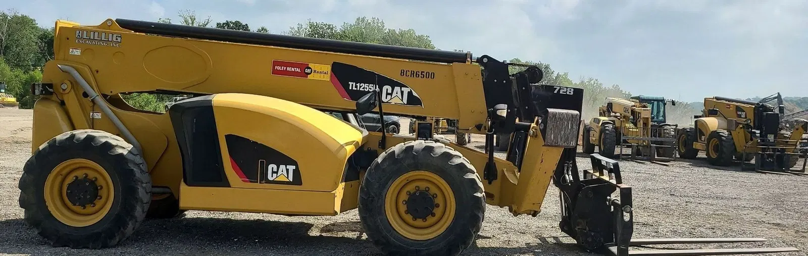 2017 Caterpillar TL1255D