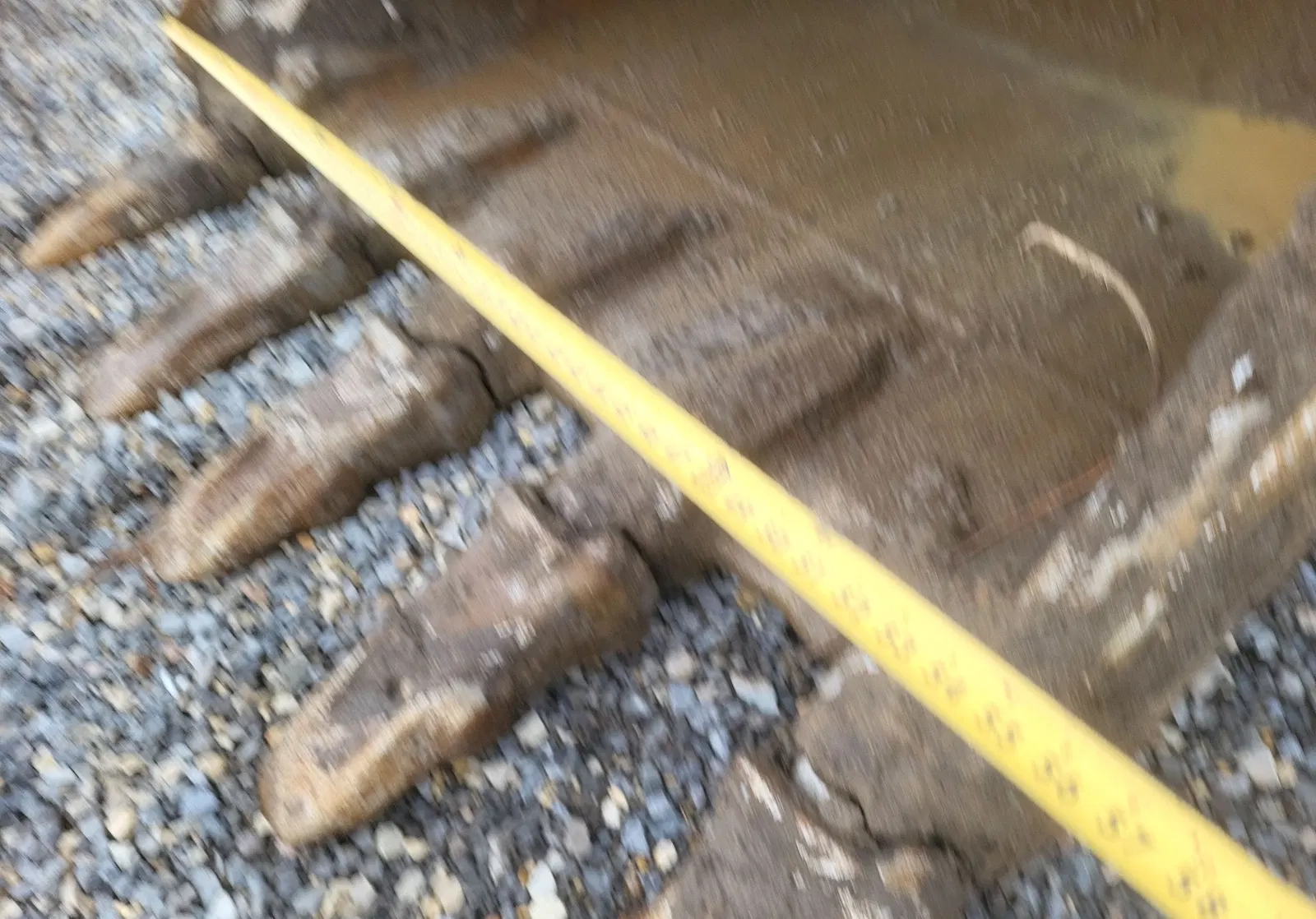 2017 Caterpillar 336FL